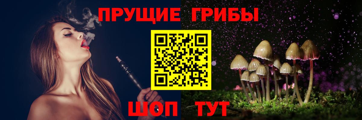 Галлюциногенные грибы MAGIC MUSHROOMS  Вход с VPN  купить наркотик  Александров 
